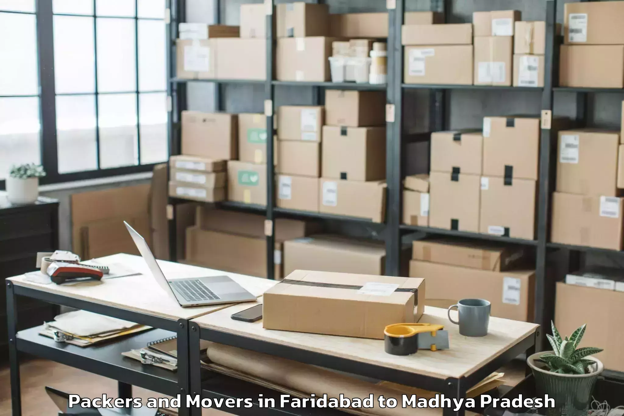 Professional Faridabad to Burhanpur Packers And Movers